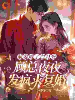 被蓄意报复？大小姐她转身嫁大佬