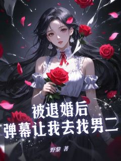 被退婚后，弹幕让我去找男二