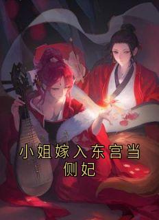 小姐嫁入东宫当侧妃