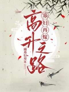 寡妇再嫁高升之路