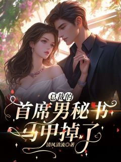 总裁的首席男秘书马甲掉！