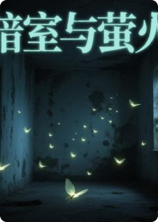 暗室与萤火