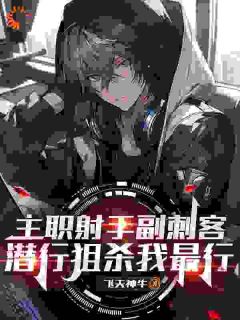 主职射手副刺客，潜行狙杀我最行