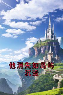 他消失如岛屿沉没