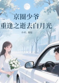 京圈少爷重逢之逝去白月光