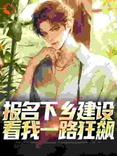 权力巅峰：从基层公务员一路狂飙