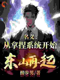 名义：从拿捏系统开始东山再起