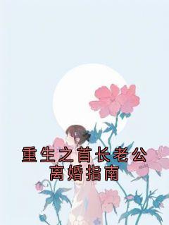 重生之首长老公离婚指南