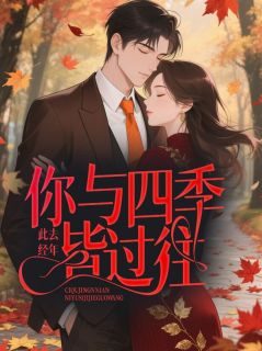 此去经年，你与四季皆过往