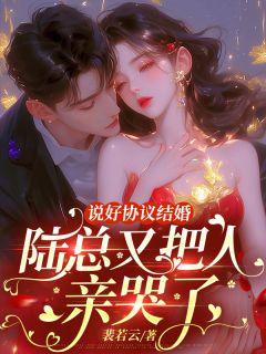 说好协议结婚，陆总又把人亲哭了