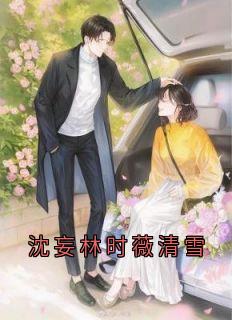 沈妄林时薇清雪