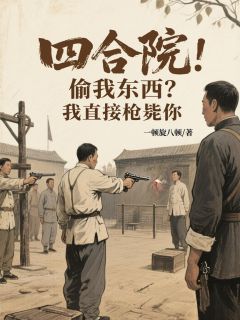 四合院：偷我东西？我直接枪毙你