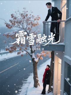 霜雪融光