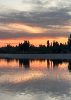 渣男误穿诡异世界，求我救他