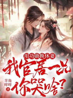 用功勋换休妻，我官居一品你哭啥？