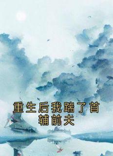 重生后我踹了首辅前夫