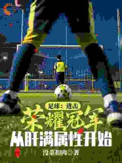 足球：进击荣耀冠军，从肝满属性开始