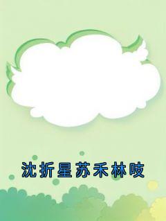 沈折星苏禾林吱