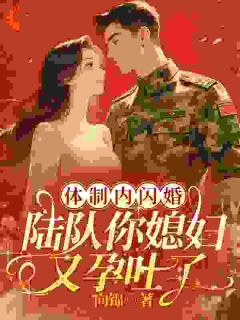 体制内闪婚，陆队你媳妇又孕吐了