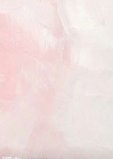 恶毒前妻重生后，状元他求虐