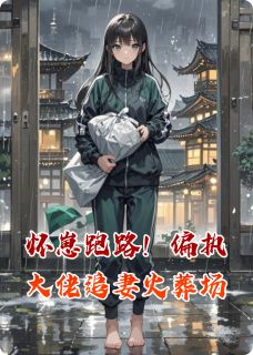 怀崽跑路！偏执大佬追妻火葬场