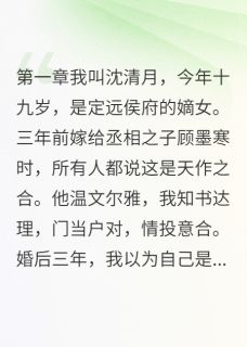 婢女怀了我夫君的孩子