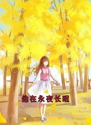 他在永夜长眠