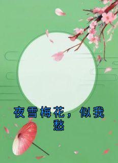 夜雪梅花，似我愁