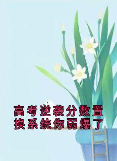 高考逆袭分数置换系统你弱爆了