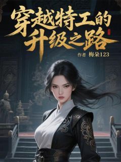 穿越特工的升级之路