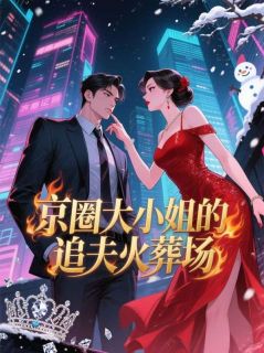 京圈大小姐的追夫火葬场