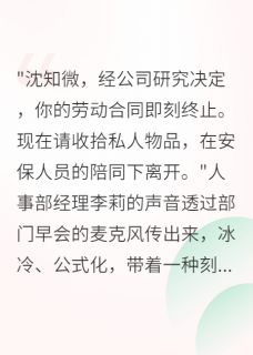 被开除后，我成了前公司的甲方