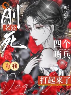 弹幕护体！E级向导玩转3S世界