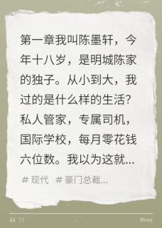 假少爷的真人生