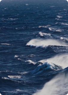 悔不当初:回眸时已晚