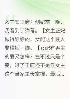 入宁安王府为侧妃前一晚