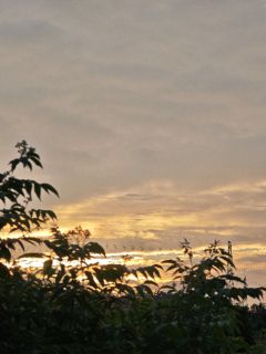 变心容易真心难