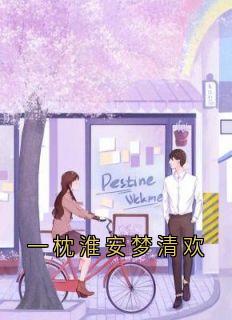 一枕淮安梦清欢