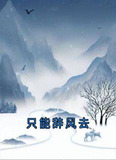 只能辞风去