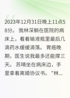 妻子偷我专利给小白脸