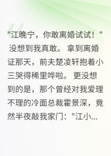 二婚女人，让冰山总裁疯狂