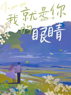 我就是你的眼睛