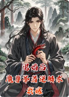 退婚后，魔尊举着逆鳞求我嫁