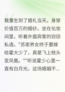 豪门联姻我不干了