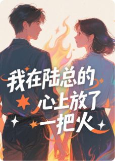 我在陆总的心上放了一把火