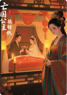 亡国公主报错仇