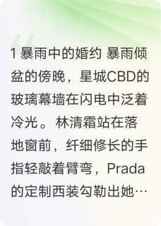 拒婚女总裁追夫