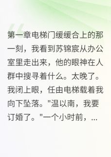 总裁订婚后我辞职了