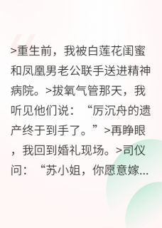 重生后，在婚礼撕婚书扑向死对头