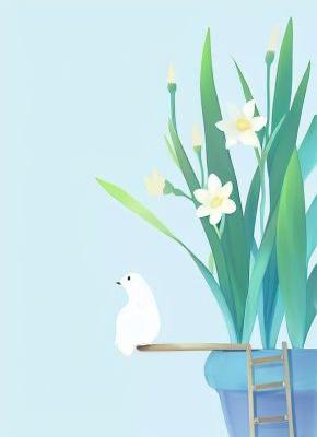 金钗寄流年